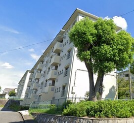 金剛第三住宅224棟の物件外観写真